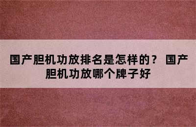 国产胆机功放排名是怎样的？ 国产胆机功放哪个牌子好